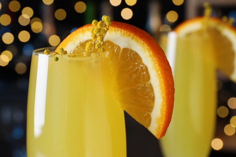 Mimosa
