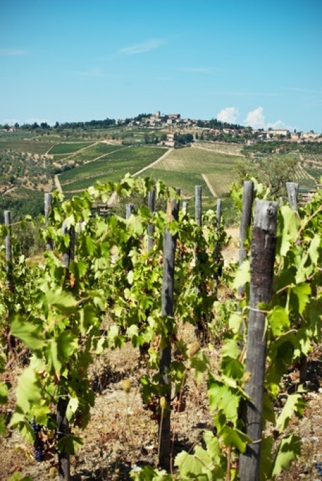 Chianti Classico