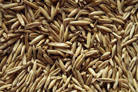 Oatmeal Stout