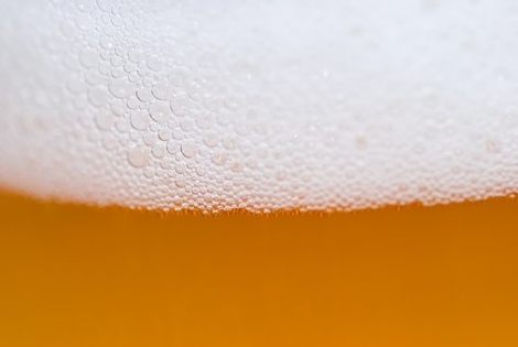 Zwickelbier